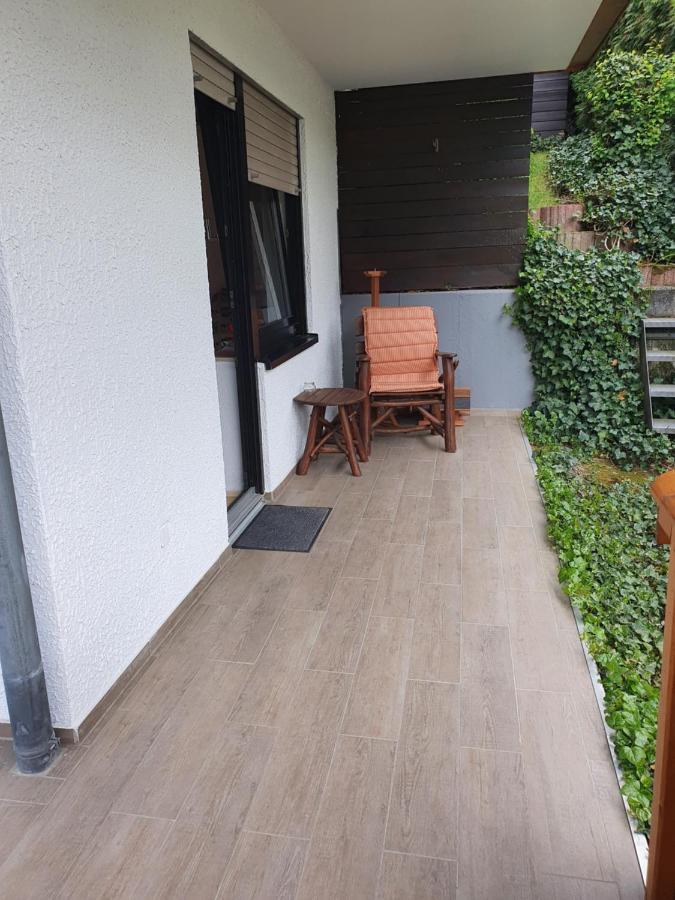 Ferienwohnung Zum Rheinblick Kestert Экстерьер фото