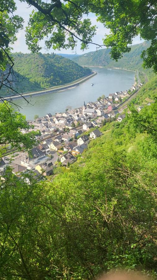 Ferienwohnung Zum Rheinblick Kestert Экстерьер фото