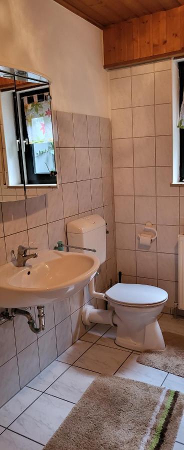 Ferienwohnung Zum Rheinblick Kestert Экстерьер фото
