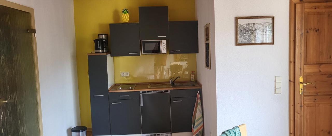 Ferienwohnung Zum Rheinblick Kestert Экстерьер фото